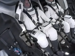 На борту космического корабля SpaceX Crew Dragon обнаружился «третий член экипажа»