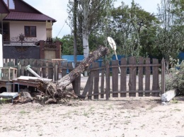 На курорте Азова пронесся мощный ураган: повалены деревья, разрушены дома (ФОТО, ВИДЕО)