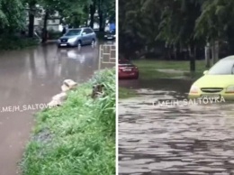 Ливни затопили улицы Харькова