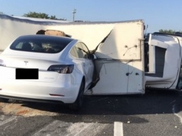 Автопилот не сработал: Tesla на полном ходу влетела в перевернутый грузовик