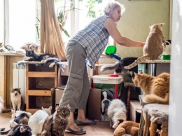 Киевлянка 10 лет держит в квартире приют для животных