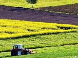 Около 40% распаеванных земель в Украине "работают" в тени - эксперты