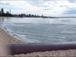 ЧП на Николаевщине: вода на пляжах стала ядовито-зеленой, детали