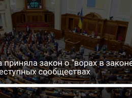 Рада приняла закон о "ворах в законе" и преступных сообществах