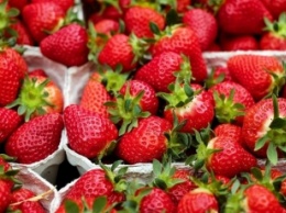 Медики рассказали о вреде летних ягод