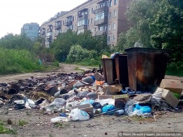 Мусор, собаки и тотальная безысходность: блогер показал фото умирающего Краснодона