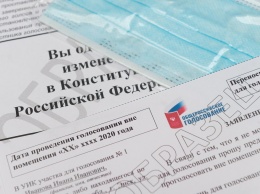 "Волонтеры Конституции" станут наблюдателями на общероссийском голосовании