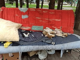 В центре Покровского района Кривого Рога бомжи оборудовали себе "купейное место"