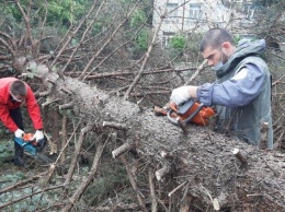 "Молодежка ОНФ" в Северной Осетии помогает устранять последствия урагана