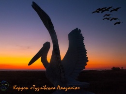 В Одесской области появился памятник пеликану