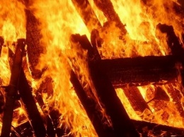 В селе возле Никополя в пожаре погиб 34-летний мужчина