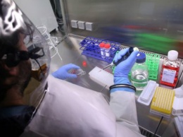 В Конго зарегистрировали новую вспышку лихорадки Эбола