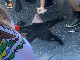 Фотофакт: Звезду Трампа на Аллее славы Голливуда закрасили черной краской