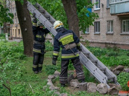 В Днепре на улице Бажова спасатели сняли котенка с балкона нежилой квартиры