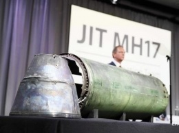 В телах экипажа рейса МН17 нашли обломки ракеты Бук
