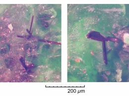 На Камчатке обнаружен минерал с уникальными магнитными свойствами