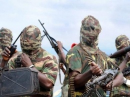 В Нигерии террористы напали на село, десятки убитых