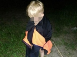 В Днепропетровской области нашли двухлетнего мальчика, потерявшегося в лесу