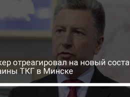 Волкер отреагировал на новый состав Украины ТКГ в Минске