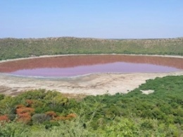 Порозовевшее озеро в Индии показали на видео