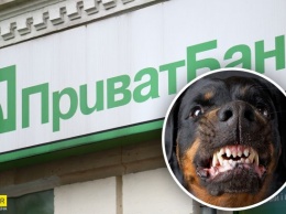 Сотрудницу ПриватБанка покусала собака: хозяин пса не хотел покидать очередь в банк