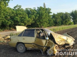 В Запорожской области пьяный водитель Daewoo врезался в дерево - погибли два пассажира