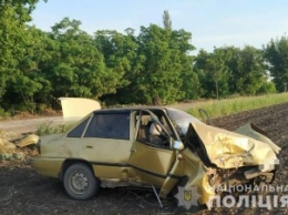Пьяный водитель в Запорожской области угробил двоих пассажиров (фото)