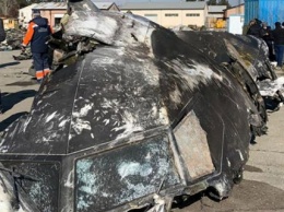 Иран просит Францию расшифровать "черные ящики" сбитого самолета МАУ