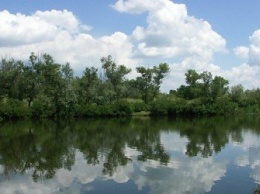В Запорожье на «Гребном канале» не рекомендуется купаться из-за плохого качества воды