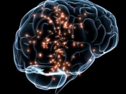 Где живут эмоции: ученые назвали область мозга отвечающую за сильные переживания