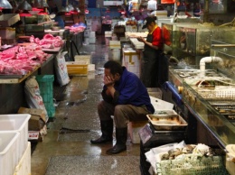 В районе рынка в Пекине ввели режим военного времени из-за вспышки коронавируса