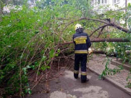 Из-за непогоды на Днепропетровщине обесточены 6 населенных пунктов, - ФОТО, ВИДЕО