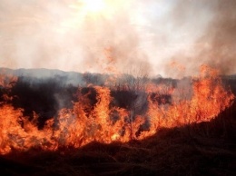 На Луганщине в "серой зоне" произошел крупный пожар