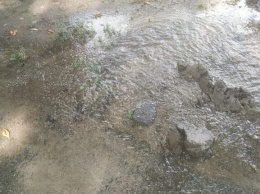 В Запорожье на Космосе из-под земли забила вода (ФОТО-ВИДЕО)