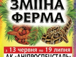 В Запорожье открылась "Змеиная ферма" с массажем змеями