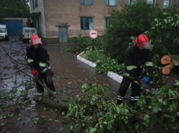Нововоронцовские спасатели убрали дерево, которое упало возле станции скорой помощи