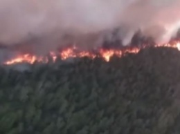 Начался "ад": в России вспыхнули мощные лесные пожары, появилось жуткое видео