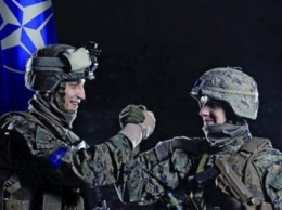 Украина продолжит курс на членство в НАТО