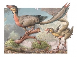 Палеонтологи открыли новый вид динозавров