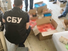 СБУ разоблачила в Одесской области ботоферму, распространявшую российские фейки