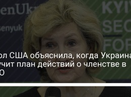 Посол США объяснила, когда Украина получит план действий о членстве в НАТО