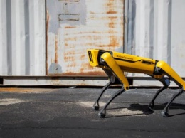Boston Dynamic начала свободную продажу робота-собаки Spot