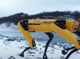 В продажу поступили "робопсы" от Boston Dynamics