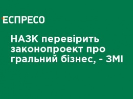 НАПК проверит законопроект об игорном бизнесе, - СМИ