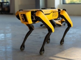 Робопсов Boston Dynamics начали продавать по цене $74,5 тысячи
