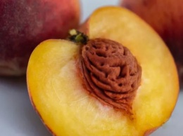 Искусственный нос смог определить спелость персиков