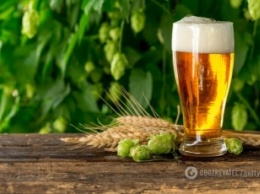 Раскрыта польза пива для здоровья: результаты исследований