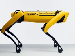 Boston Dynamics начинает продажи своего робопса (ВИДЕО)