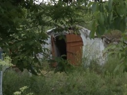 В Николаевской области нашли тело мумии