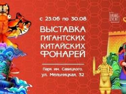 Световые инсталляции и море цветов: 25 июня в парке Савицкого открываются сразу две выставки